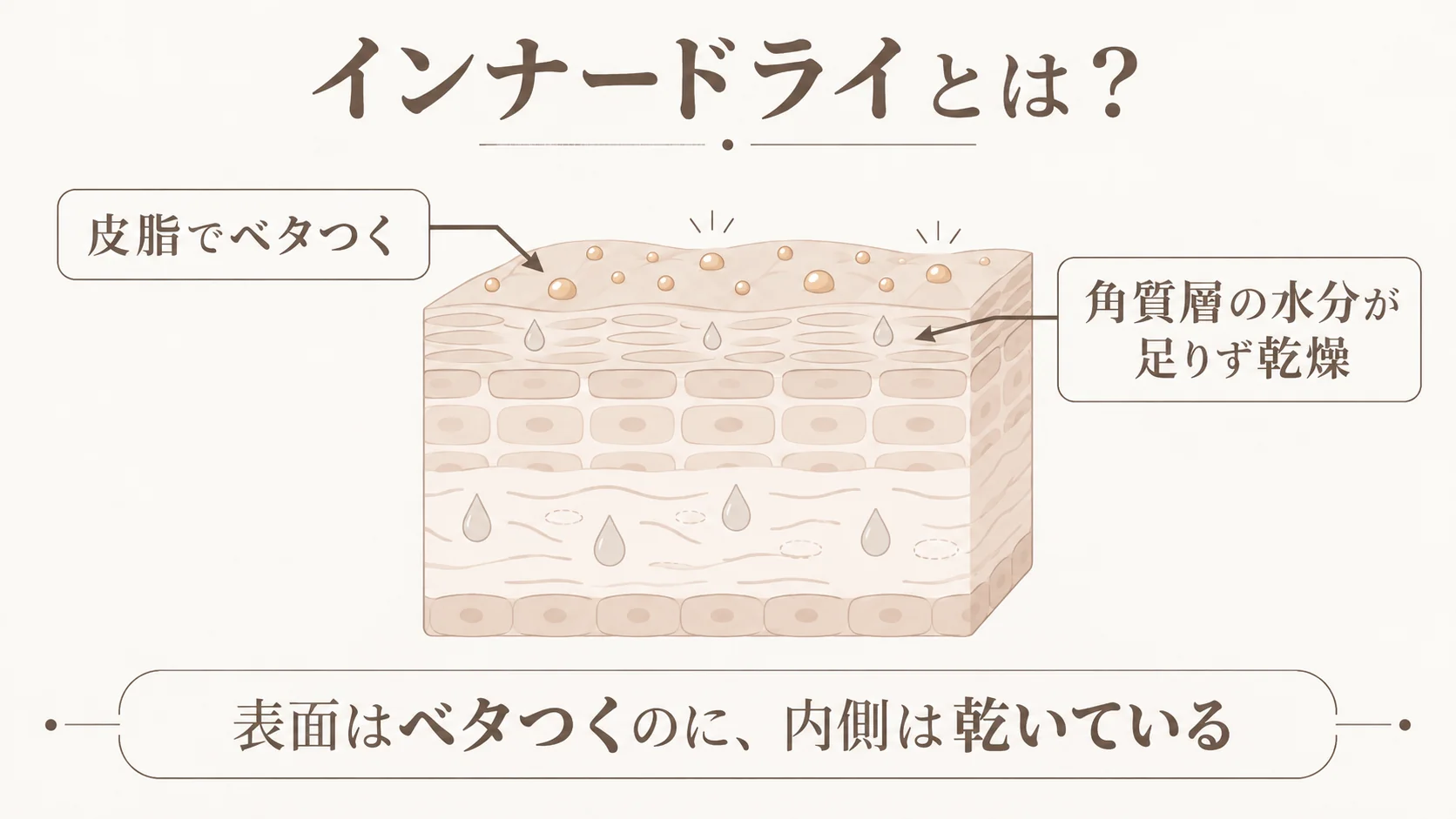 インナードライの肌の断面を示す図。表面は皮脂でベタついているのに、すぐ下の角質層は水分が足りず乾燥している状態を表している。