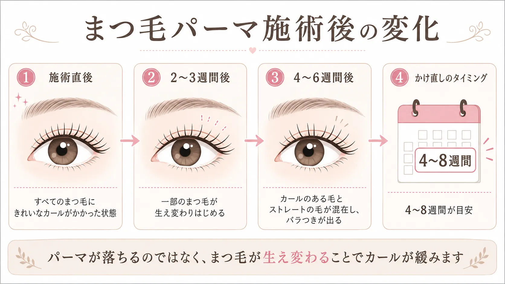 まつ毛パーマ施術後の変化を示す図。施術直後から4〜8週間後のかけ直しタイミングまでを4段階で図解。パーマが落ちるのではなく、まつ毛が生え変わることでカールが緩む仕組みを解説。
